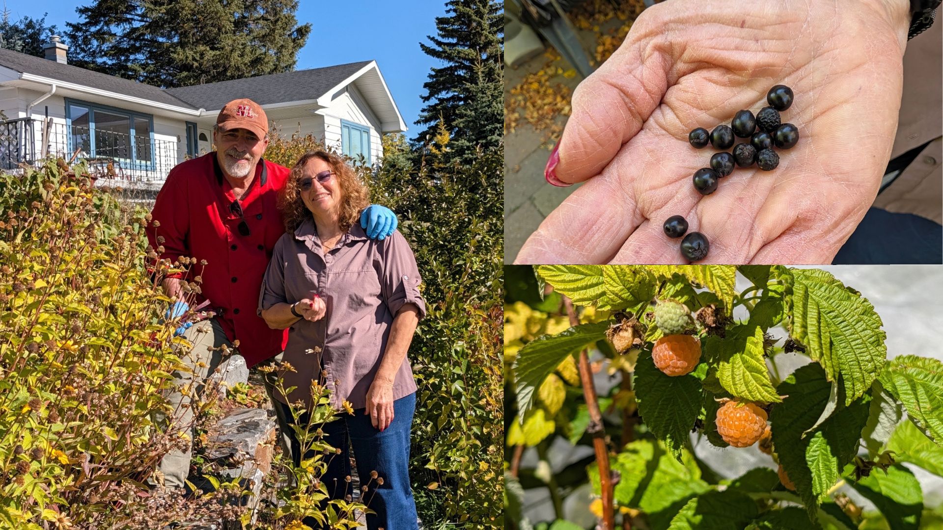 The Urban Food Forest