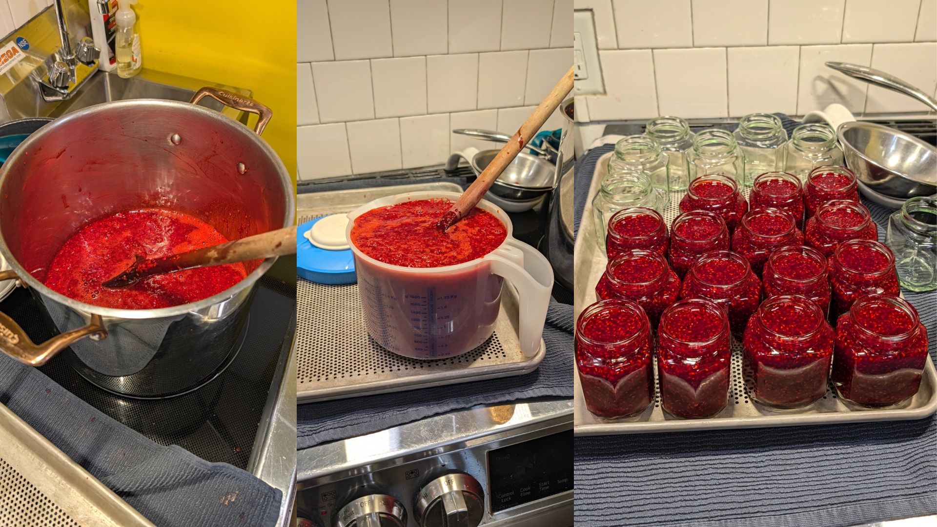 The Commercial Kitchen