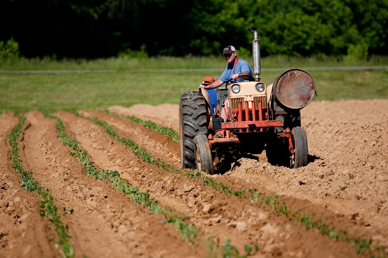 A farmer working in the field