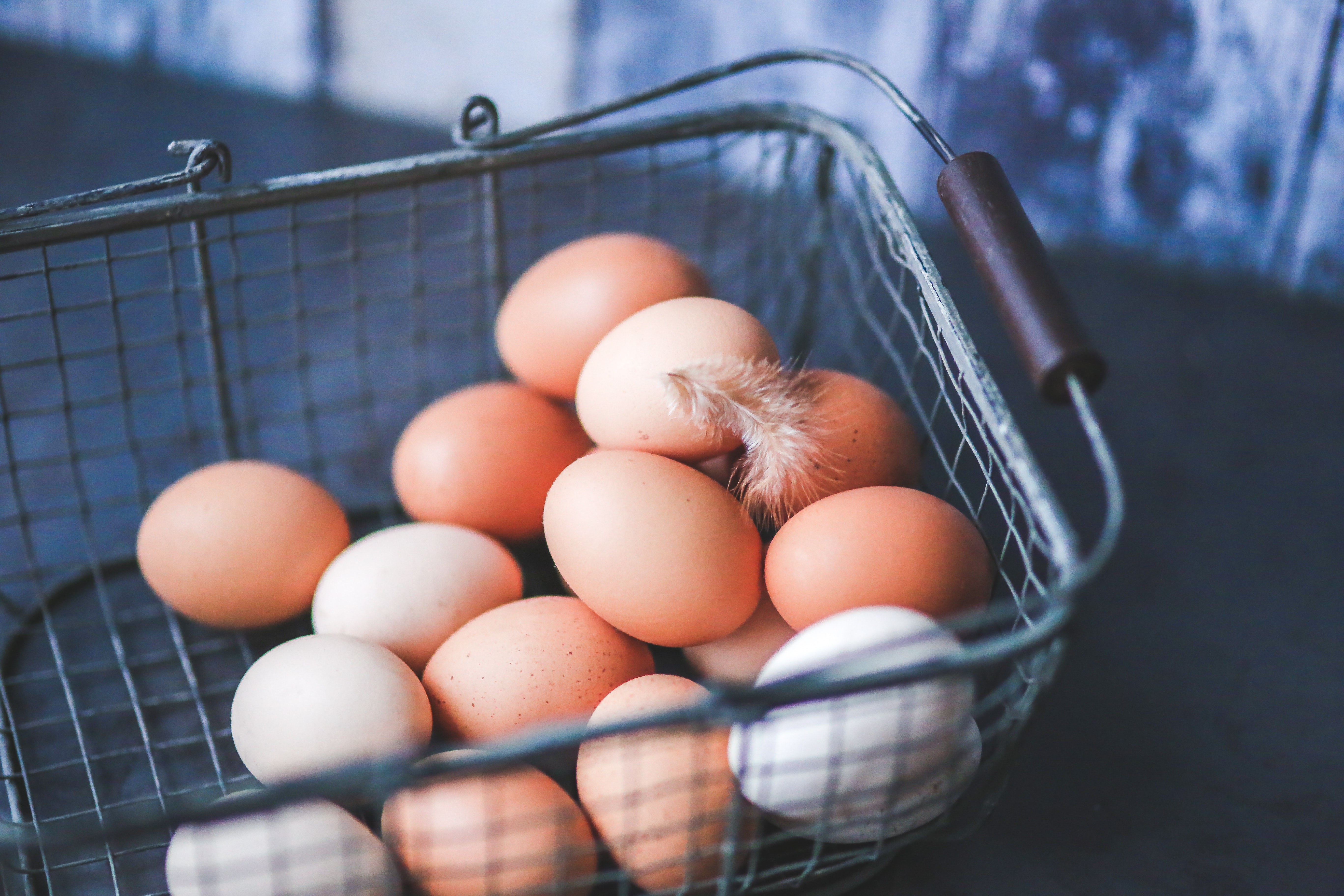 Farm eggs